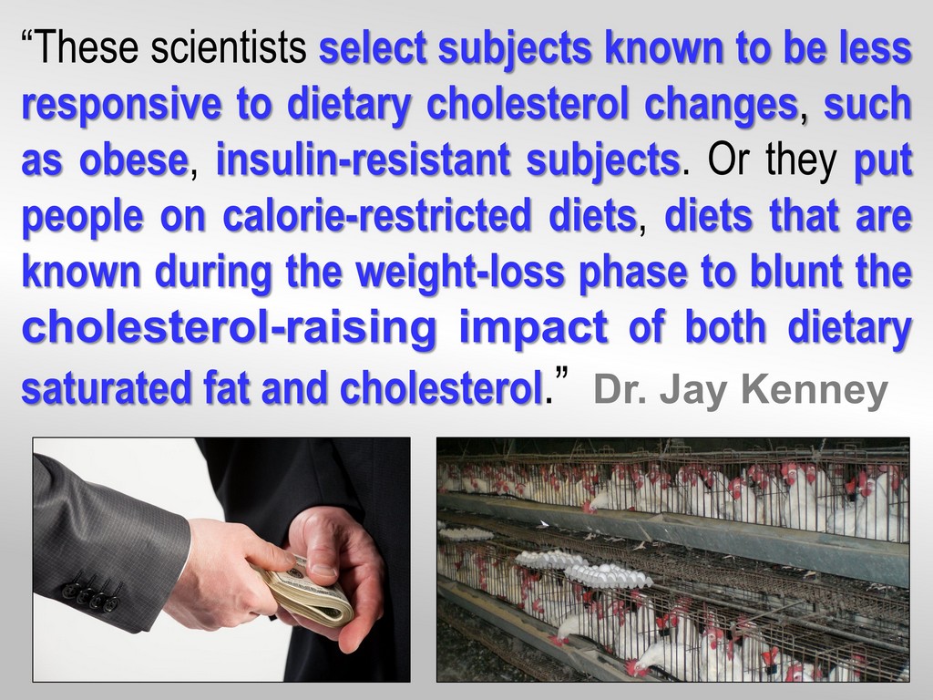Truth about Eggs & Cholesterol