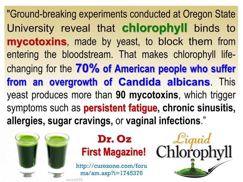 FATIGUE & TIREDNESS - BEST CURE CHLOROPHYLL TO BOOST ENERGY