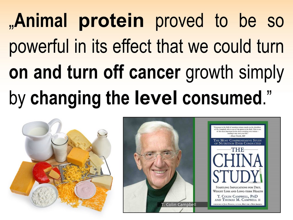 ANIMAL PROTEIN CAUSES CANCER
