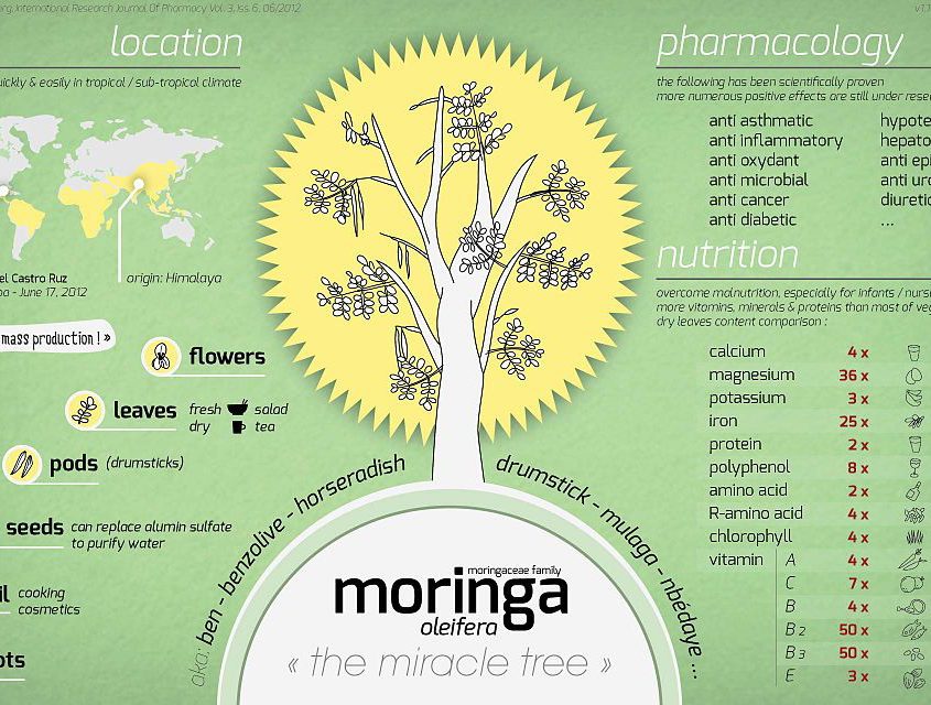 amazing health benefits of moringa