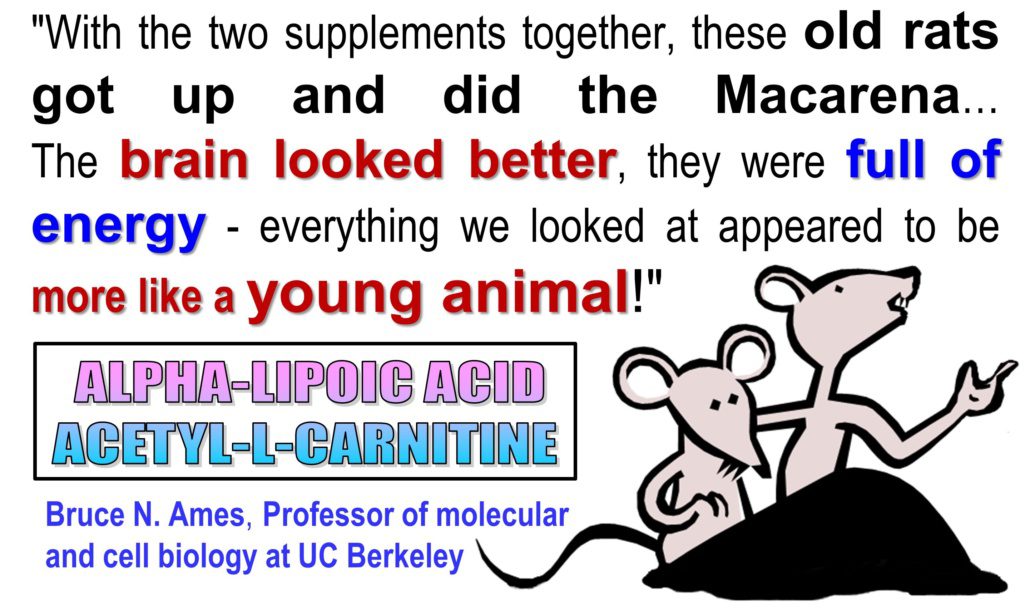 Alpha Lipoic Acid to Feel Young Again