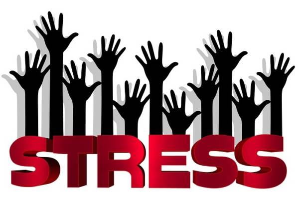 What Is Stress and How to Cope with It?