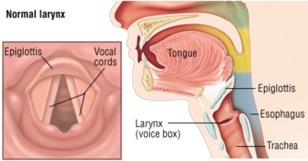 VOCAL CORD DISORDERS